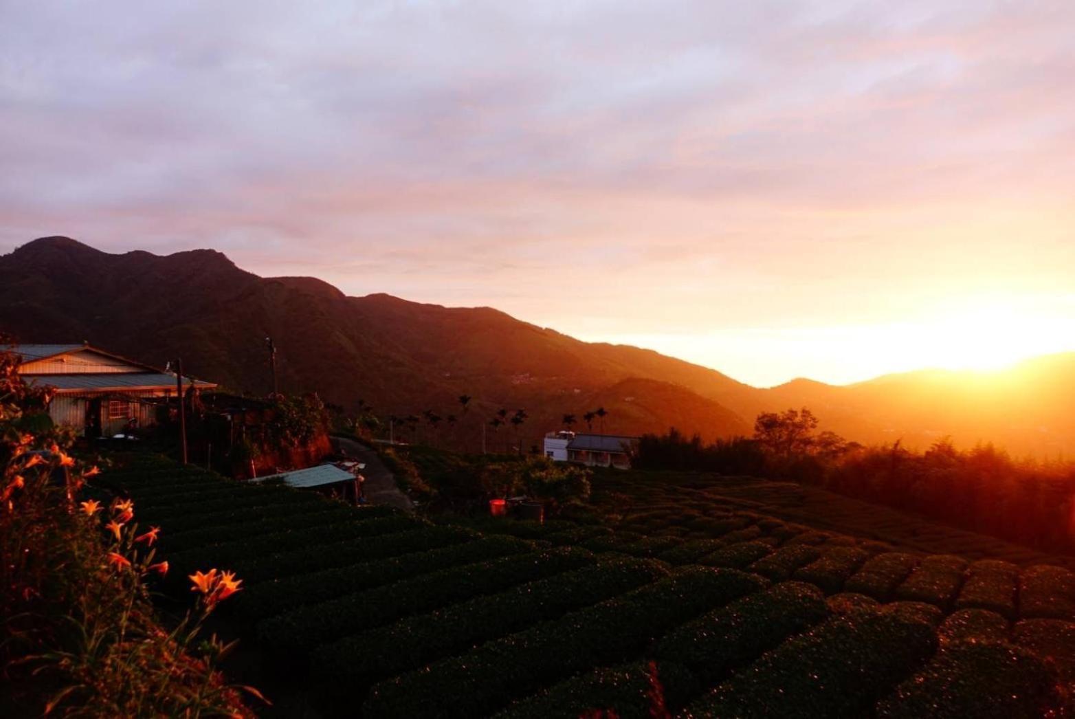 Gaodiyuan Tea B&B 高帝園茶業民宿 Meishan Экстерьер фото