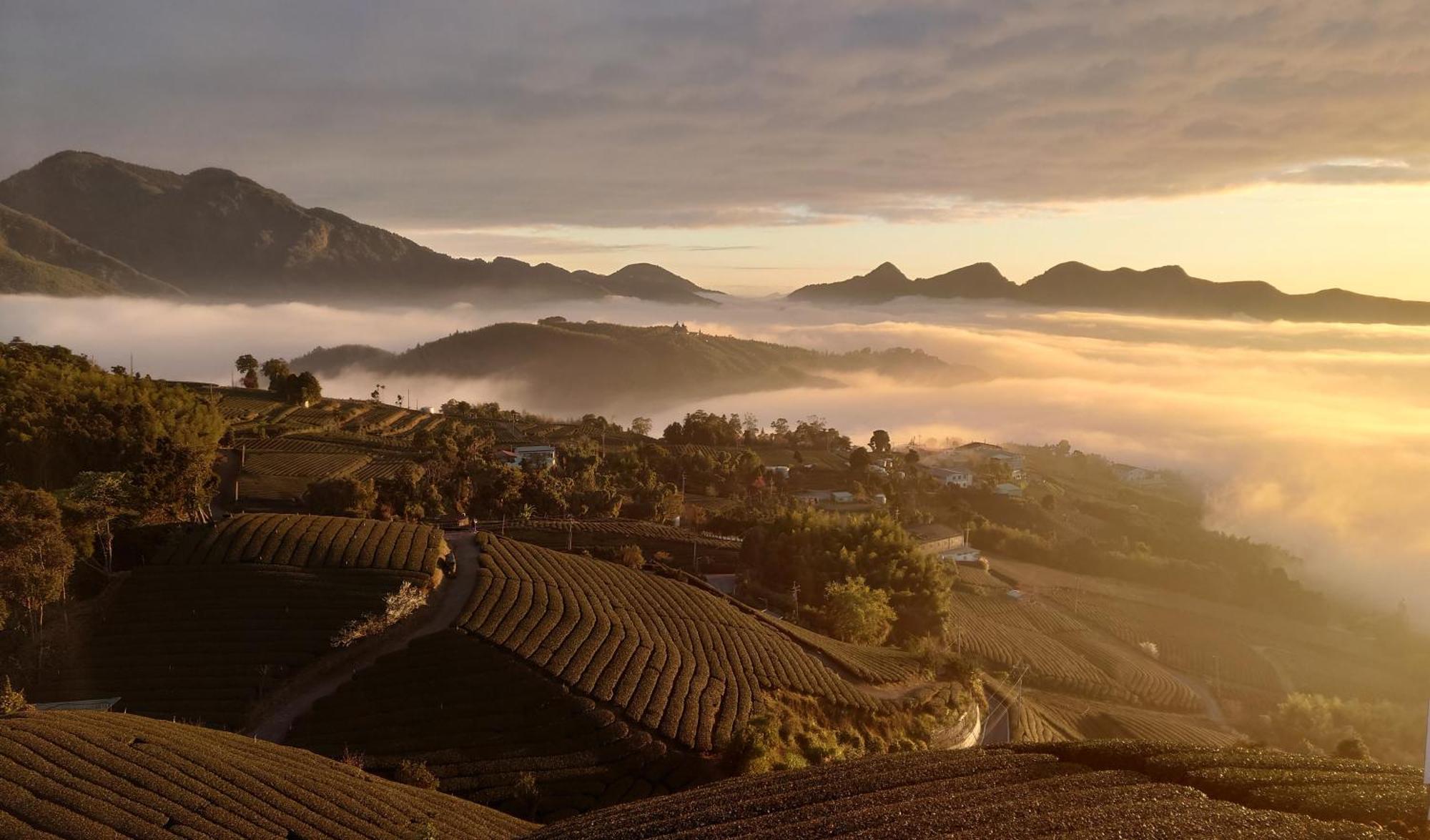 Gaodiyuan Tea B&B 高帝園茶業民宿 Meishan Экстерьер фото