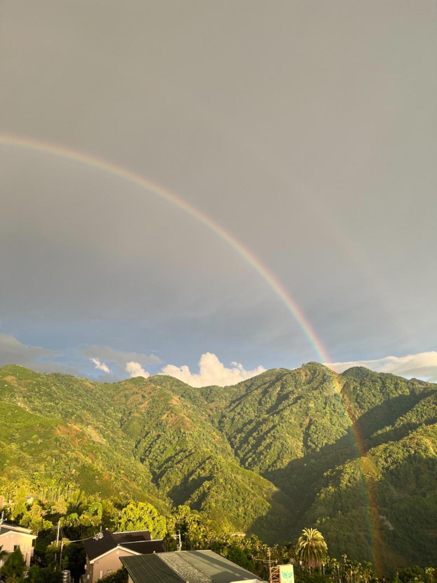 Gaodiyuan Tea B&B 高帝園茶業民宿 Meishan Экстерьер фото