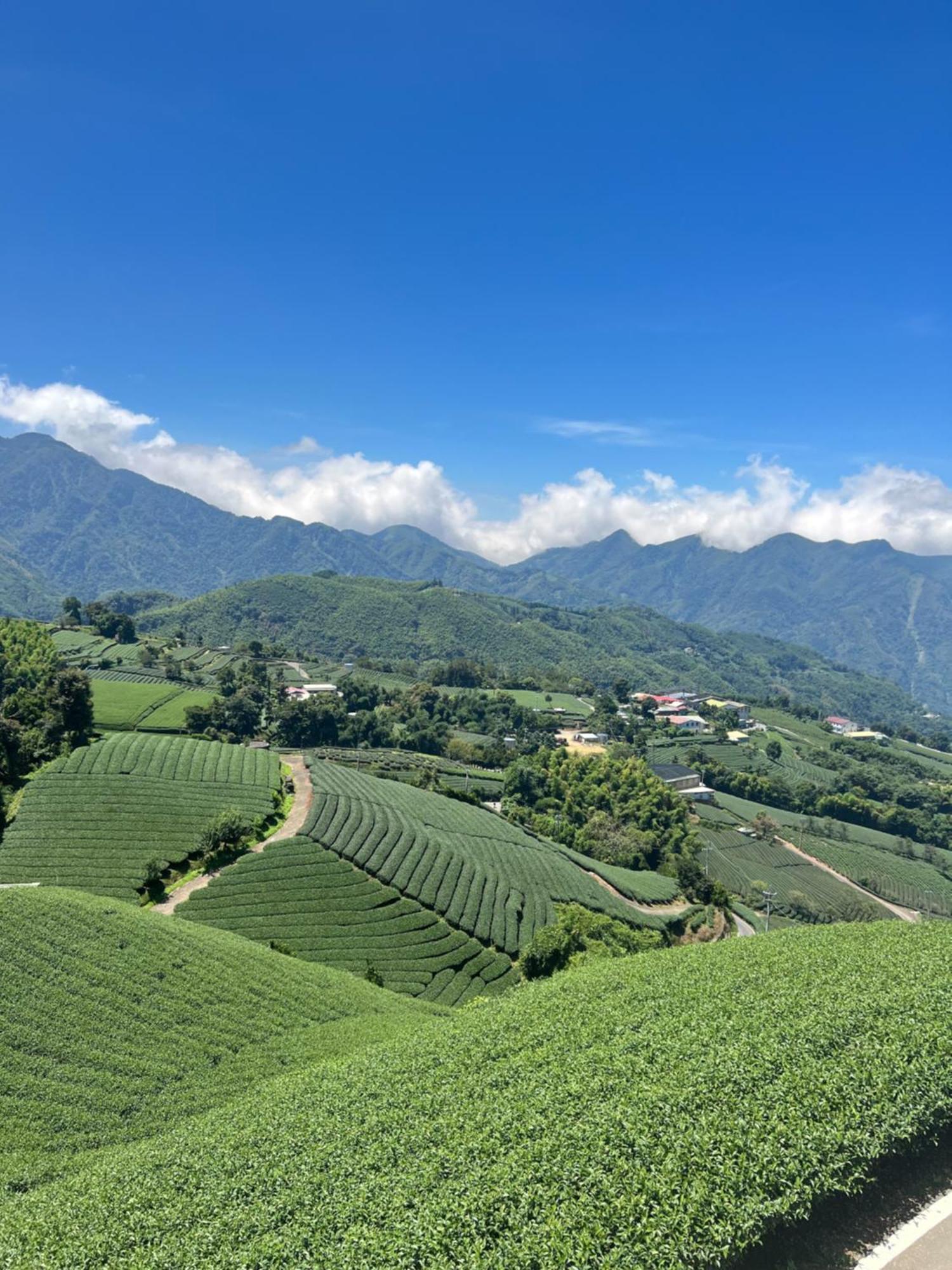 Gaodiyuan Tea B&B 高帝園茶業民宿 Meishan Экстерьер фото