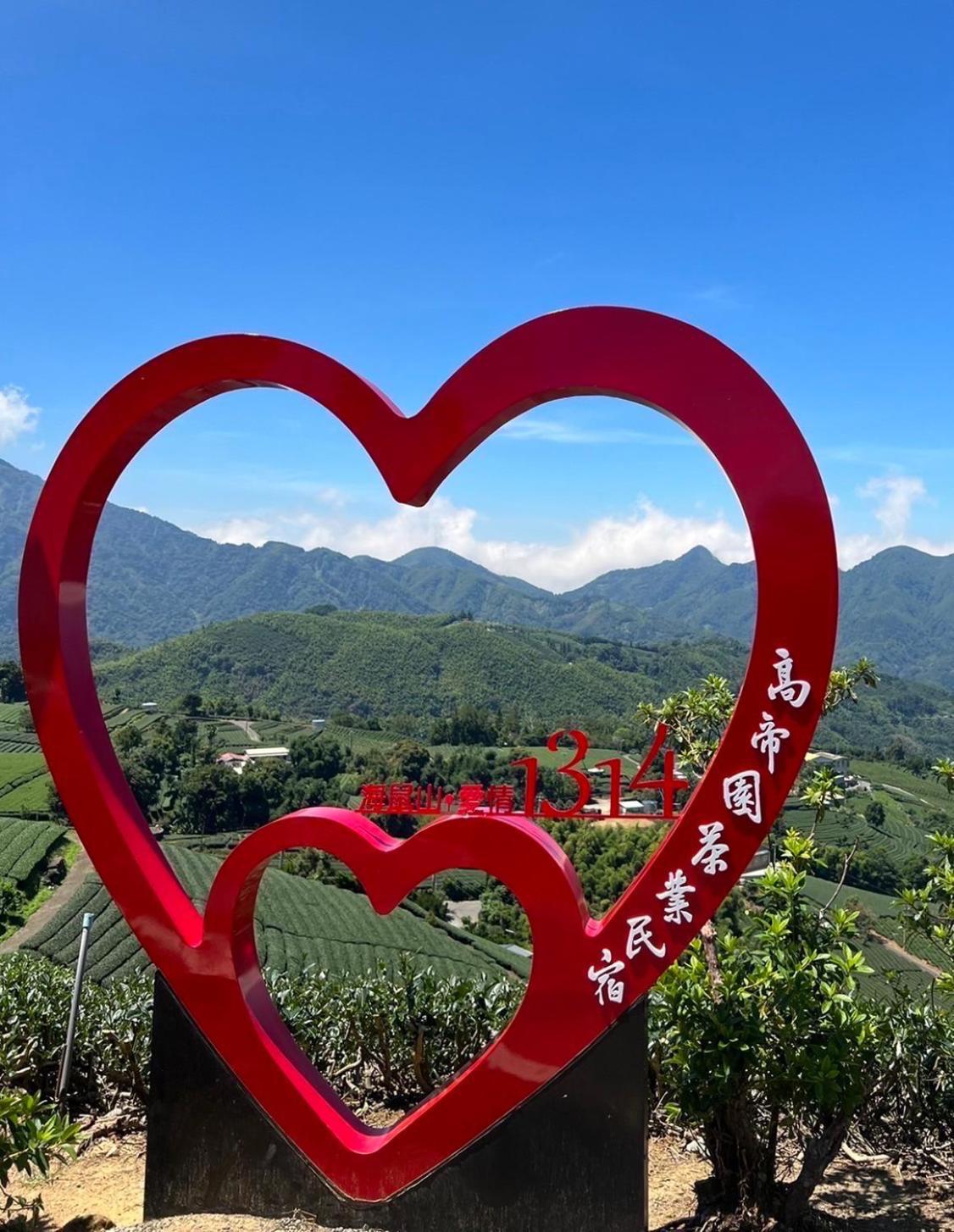 Gaodiyuan Tea B&B 高帝園茶業民宿 Meishan Экстерьер фото