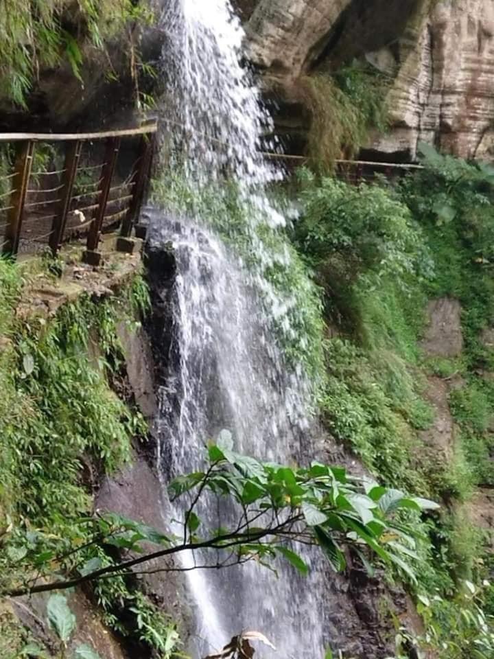 Gaodiyuan Tea B&B 高帝園茶業民宿 Meishan Экстерьер фото