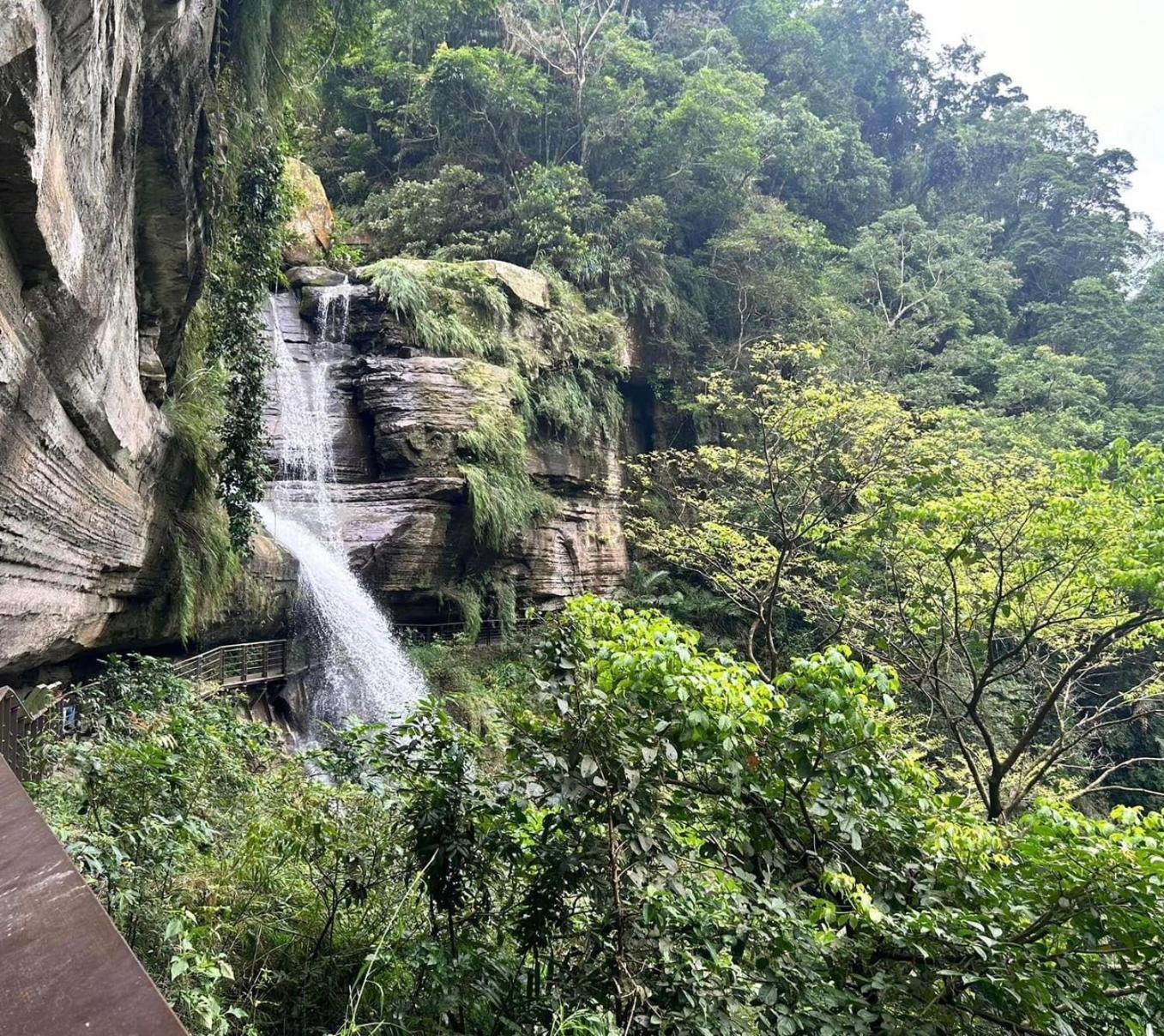 Gaodiyuan Tea B&B 高帝園茶業民宿 Meishan Экстерьер фото