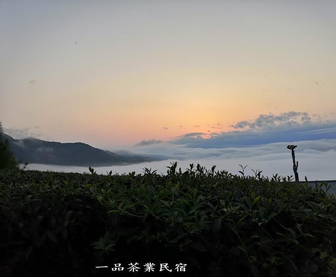 Gaodiyuan Tea B&B 高帝園茶業民宿 Meishan Экстерьер фото